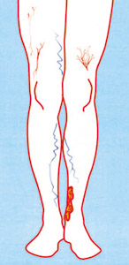 pomaranczka